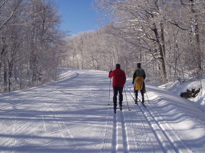 This is Rob and Erik following ski tracks in Gatineau Park.