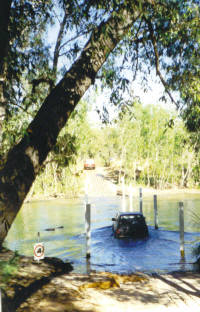 Shopping trolleys in the water!!!