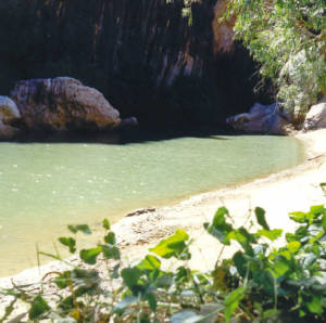 A Johnson Crocodile relaxing at Windjana Gorge.